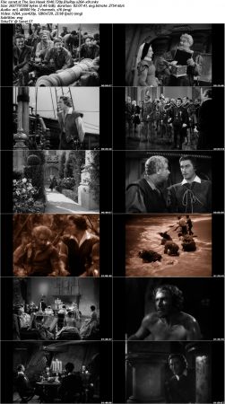 The Sea Hawk 1940 720p BluRay x264-x0r