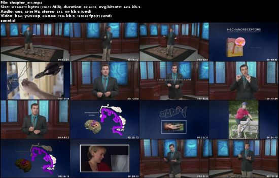 Understanding the Secrets of Human Perception (The Great Courses)