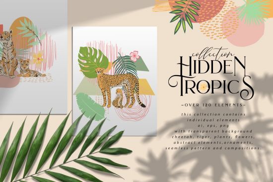 Hidden Tropics collection   3595373
