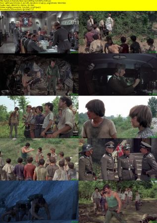 Hornets Nest 1970 BRRip XviD MP3-XVID