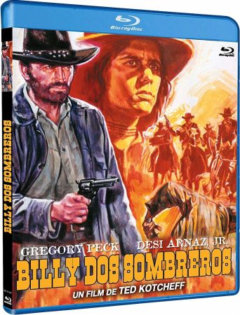 Billy Two Hats 1974 BRRip XviD MP3-XVID