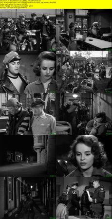 The Wild One 1953 BRRip XviD MP3-XVID