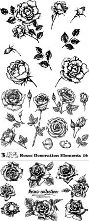 Vectors - Roses Decoration Elements 16
