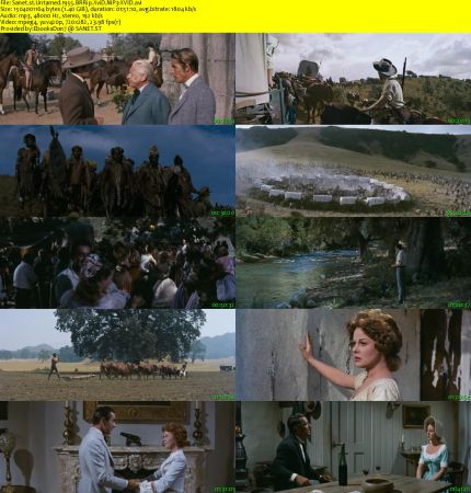 Untamed 1955 BRRip XviD MP3-XVID