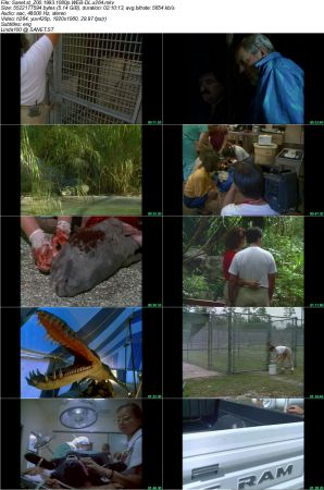 Zoo 1993 1080p WEB-DL.x264-NOGRP