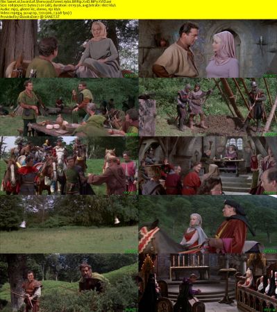 Sword of Sherwood Forest 1960 BRRip XviD MP3-XVID