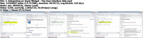 R Shiny Interactive Web Apps - Next Level Data Visualization
