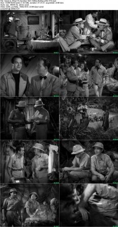 Road To Zanzibar 1941 1080p BluRay x264-YTS