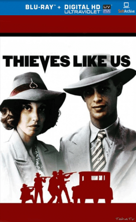 Thieves Like Us 1974 720p BluRay x264-x0r