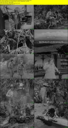 Panther Girl of the Kongo 1955 1080p BluRay H264 AAC-RARBG