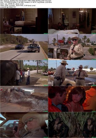 Smokey And The Bandit II 1980 1080p BluRay x264-YTS