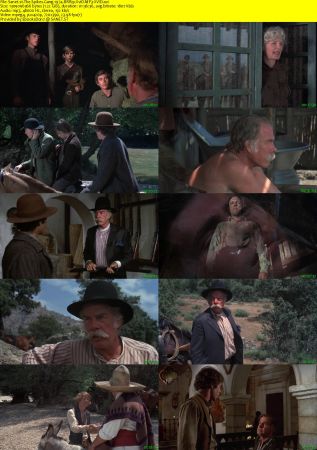 The Spikes Gang 1974 BRRip XviD MP3-XVID