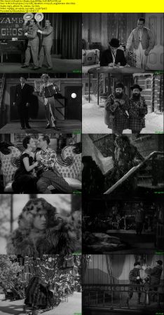 Road to Utopia 1945 BRRip XviD MP3-XVID