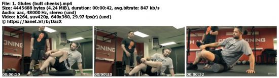 Learn the Proper Techniques of Foam Rolling - Krank Systems