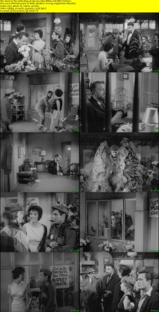 The Little Shop of Horrors 1960 BRRip XviD MP3-XVID