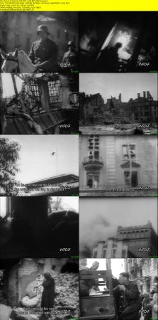 Warsaw - The City That Survived Its Own Death (1938-1989) WEB-DL XviD MP3 MVGroup