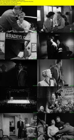 Champion 1949 BRRip XviD MP3-XVID