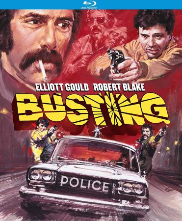 Busting 1974 BRRip XviD MP3-XVID