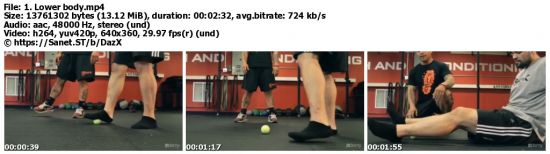 Learn the Proper Techniques of Foam Rolling - Krank Systems