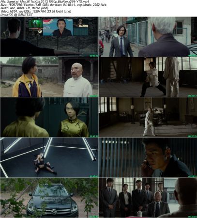 Man Of Tai Chi 2013 1080p BluRay x264-YTS