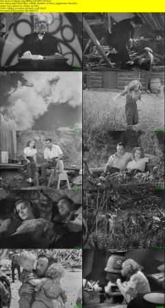 Deluge 1933 BRRip XviD MP3-XVID
