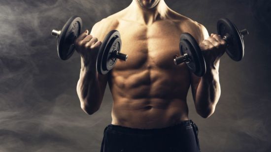 No Bull Fitness Course - Build Muscle, Lose Fat, Be Healthy