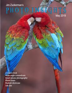 Photo Insights - May 2019