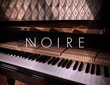 Native Instruments Noire v1.1 KONTAKT