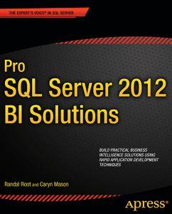 Pro SQL Server 2012 BI Solutions (Expert's Voice in SQL Server)
