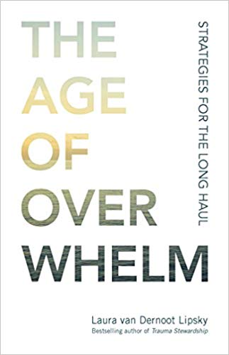 The Age of Overwhelm: Strategies for the Long Haul (EPUB)
