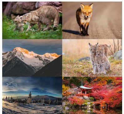 Desktop Wallpapers Mixed Pack # 729