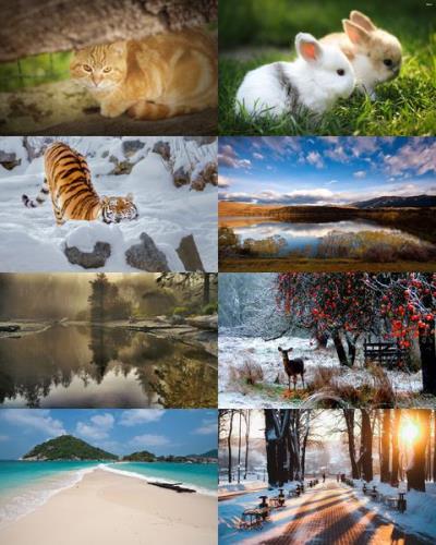 Desktop Wallpapers Mixed Pack # 748