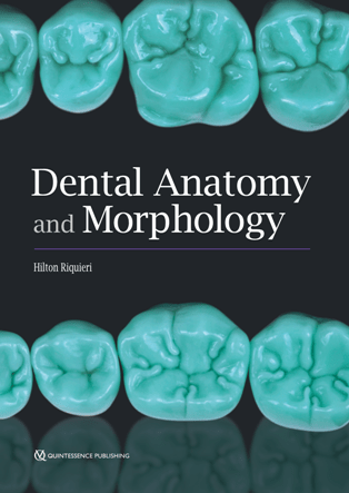 Dental Anatomy and Morphology