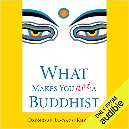 What Makes You Not a Buddhist [Audiobook]