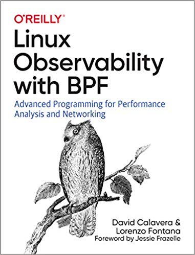 Linux Observability with BPF: Advanced Programming for Performance Analysis and Networking