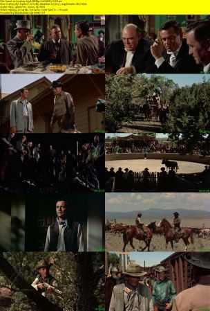Cowboy 1958 BRRip XviD MP3-XVID