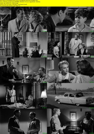 The Miami Story 1954 720p BluRay H264 AAC-RARBG