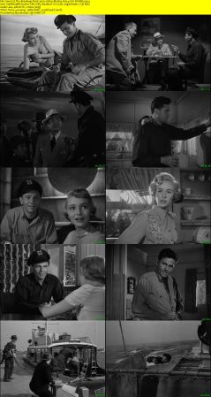 The Breaking Point 1950 1080p BluRay H264 AAC-RARBG