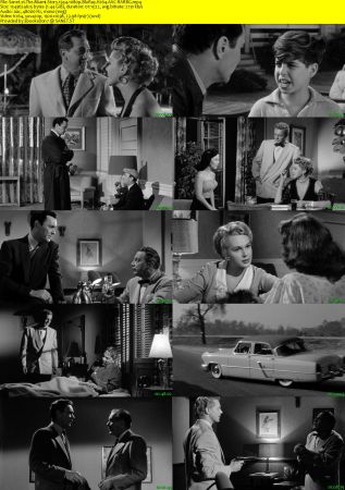 The Miami Story 1954 1080p BluRay H264 AAC-RARBG