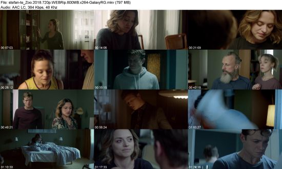 Zoo (2018) 720p WEBRip 800MB x264-GalaxyRG