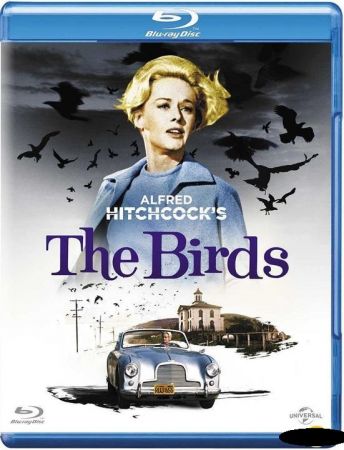 The Birds 1963 1080p BluRay x265 HEVC 10bit AAC 2.0 afm72 QXR
