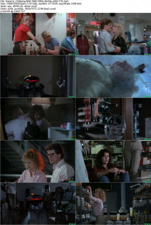 Chopping Mall 1986 1080p BluRay x264-YTS