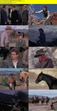 Cattle Drive 1951 720p BluRay H264 AAC-RARBG