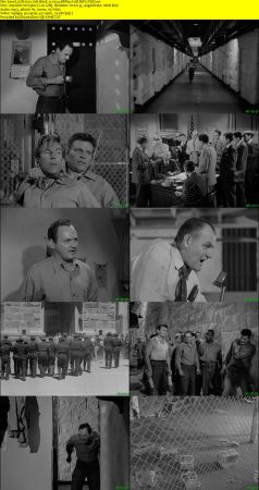 Riot in Cell Block 11 1954 BRRip XviD MP3-XVID