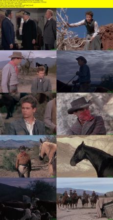 Cattle Drive 1951 1080p BluRay H264 AAC-RARBG