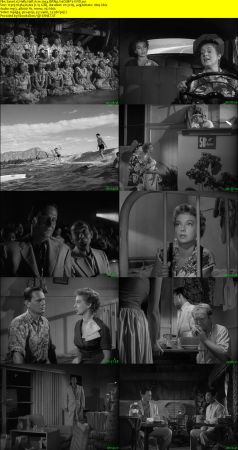 Hells Half Acre 1954 BRRip XviD MP3-XVID