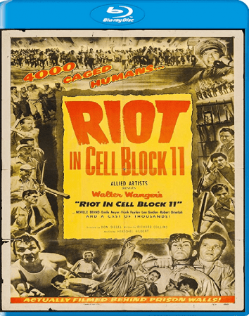 Riot in Cell Block 11 1954 1080p BluRay H264 AAC-RARBG