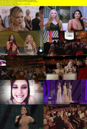Best in Sex 2019 AVN Awards 2019 WEBRip x264-ION10