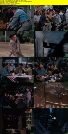 The Cimarron Kid 1952 BRRip XviD MP3-XVID