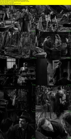 Swamp Water 1941 1080p BluRay H264 AAC-RARBG